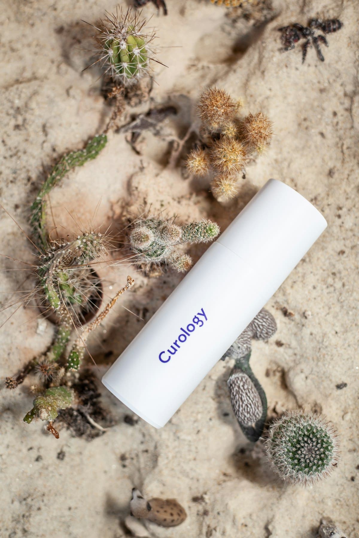 Interior magazin modern